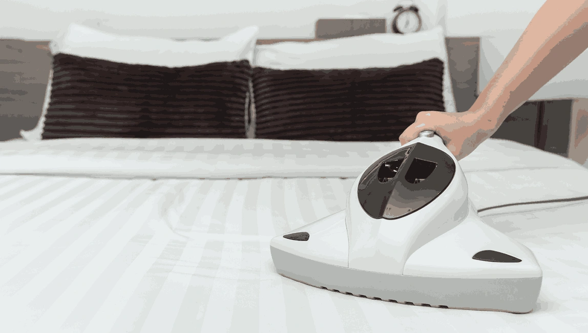 Professional Mattress Cleaning Wheelers Hill